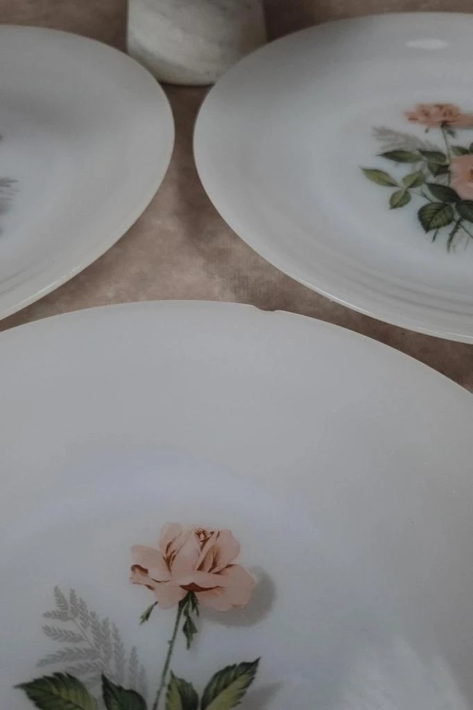 Set van 4 vintage Arcopal roze borden 🌴🌷 – photo 3